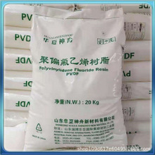 ��ƫ����ϩ PVDFԭ�� �A������DS206���z�w�� ע�ܔD����������