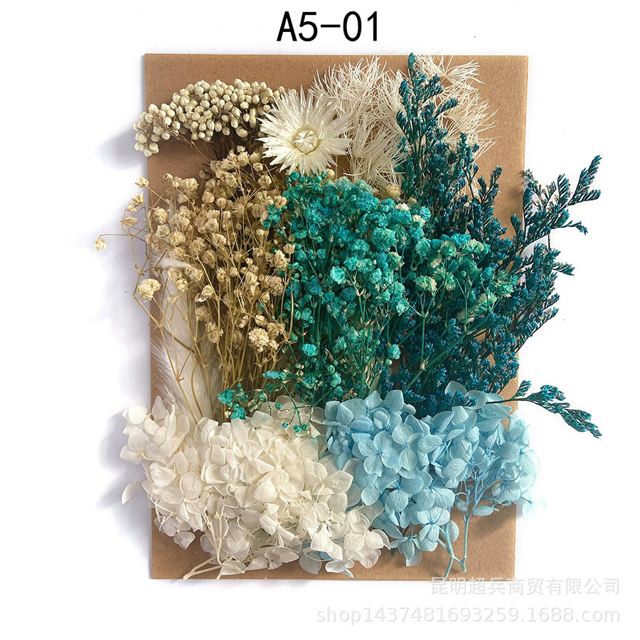 [Paquete de material de estampado A5] Flor seca flor eterna marco de fotos paquete de material de estampado DIY flor aromaterapia vela flor seca