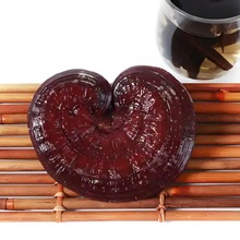 紫灵芝药味十足产地直销菌香浓郁药厂专供电商选品