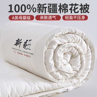 Xinjiang Pure Cotton Quilt Winter Quilt Thickeneded Warm Cotton Dormitory Student Single Quilt Core Autumn and Winter Quilt Kidsren's Quilt
