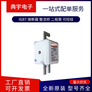 France Fuse Nh00Am50V160 Nh0Am50V100 Nh0Am50V125