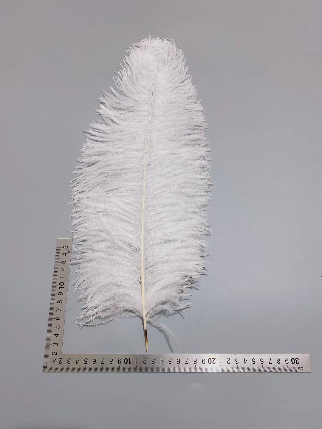 8ab9d3143bc7a4b11d8c41c63f8317