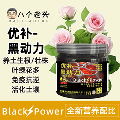 八人の老人優補黒動力多元素活性剤養土生根壮株抗逆花卉緑植通用型