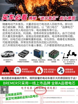 Qatlanan elektrik skuterlər: vehicle battery-powered pet and