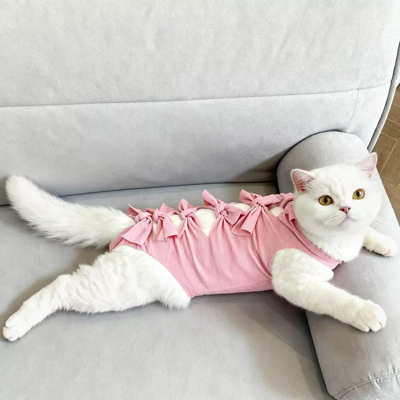猫绝育服防舔母猫手术服断奶轻薄透气术后绑带宠物服饰猫咪绝育服