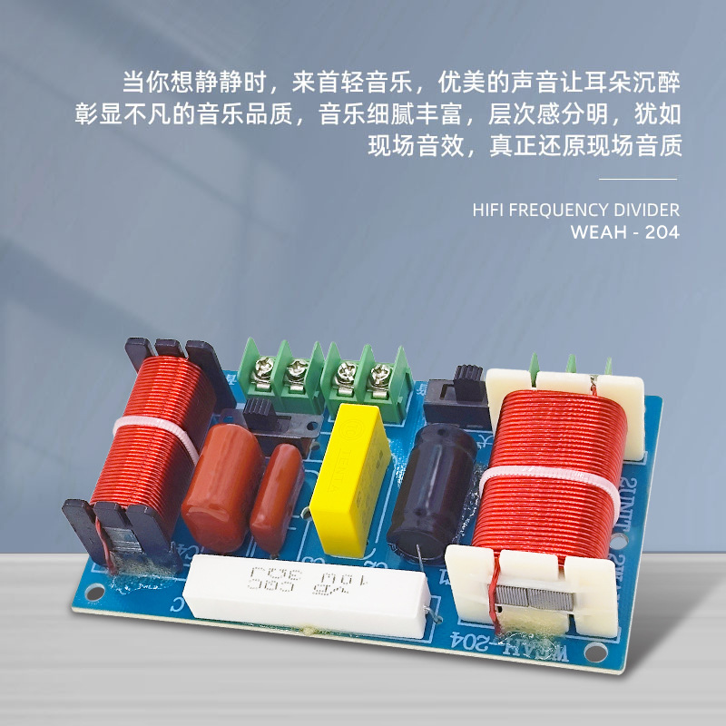 Divisor de frecuencia alta y baja de dos vías divisor de frecuencia altavoz de estantería modificado de alta fidelidad audio Crossover de alta fidelidad sonido dividido