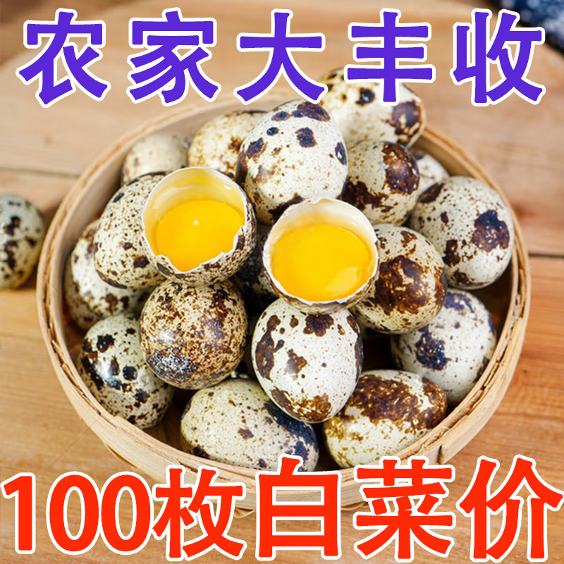 Fresh raw quail eggs 50 pieces farm free-range bird eggs clear water hot pot side dish rural freshly collected shipped 100
