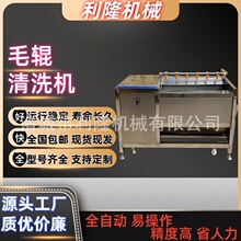根茎类蔬菜去皮清洗机 根茎类果蔬去杂设备 商用甘蔗清洗机器