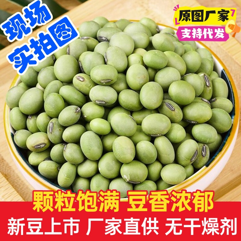 批发双青豆 大青豆 农家自种绿皮豆 青仁大豆黑脐大青豆|undefined