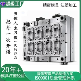 注塑加工;塑料模;运动摄像配件