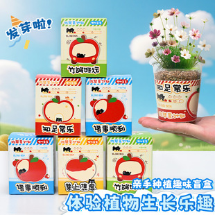 OӋֲä׃@҃ȷNֲ߲˻ܷNӌWGֲ