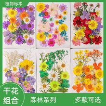 树叶画植物标本手工DIY干花压花贴脸妆写真押花材料包书签幼儿园