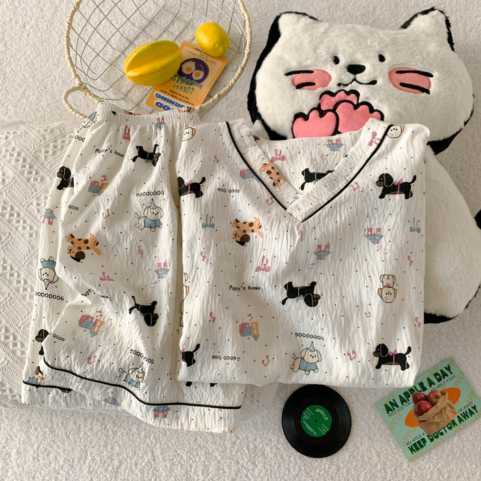 803#점박이 강아지