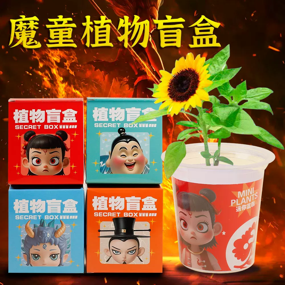 儿童小哪吒种植盆栽学生小礼品桌面生长观察迷你小绿植花卉批发