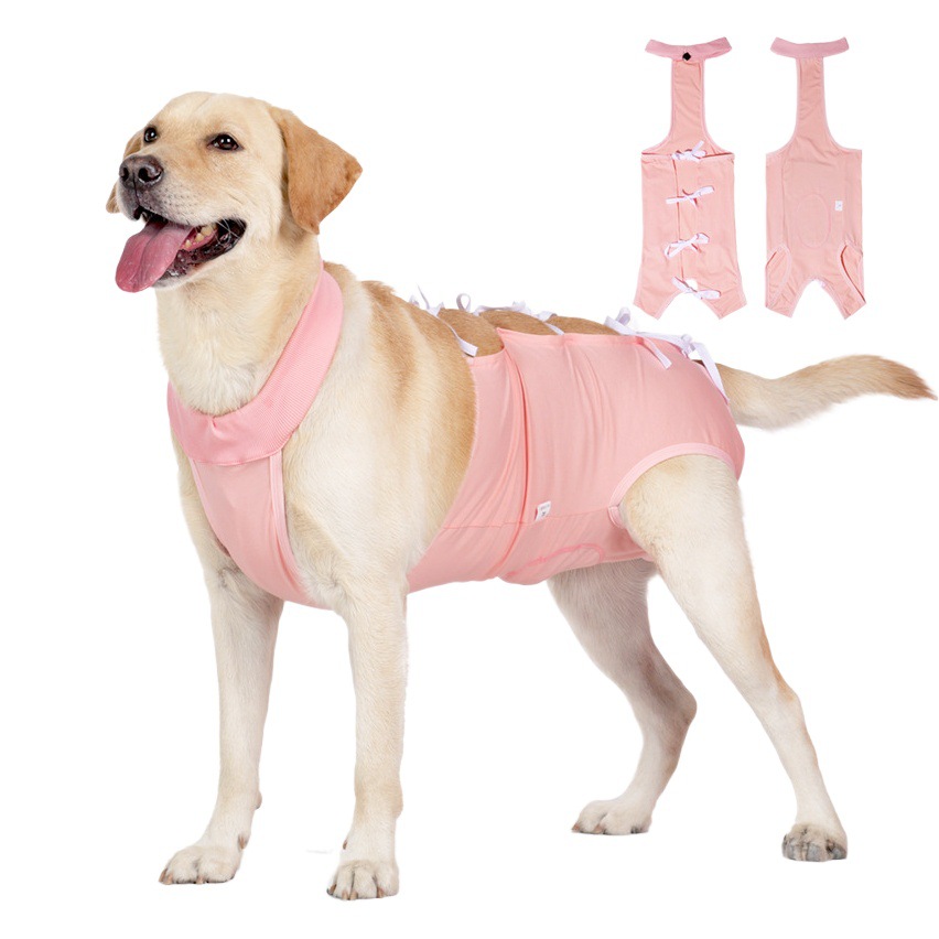 Pet Hospital Hot-Selling Post-Sterilization Recovery Clothing for Female Dogs, Strap-On Anti-Bite and Anti-Lick Clothing for Dogs