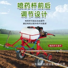 rַʽșC С󶹶^șC ̈́C