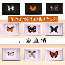 �挍�����˱����������x�˱�չ��˵�������ߵ����R�d�羳���N