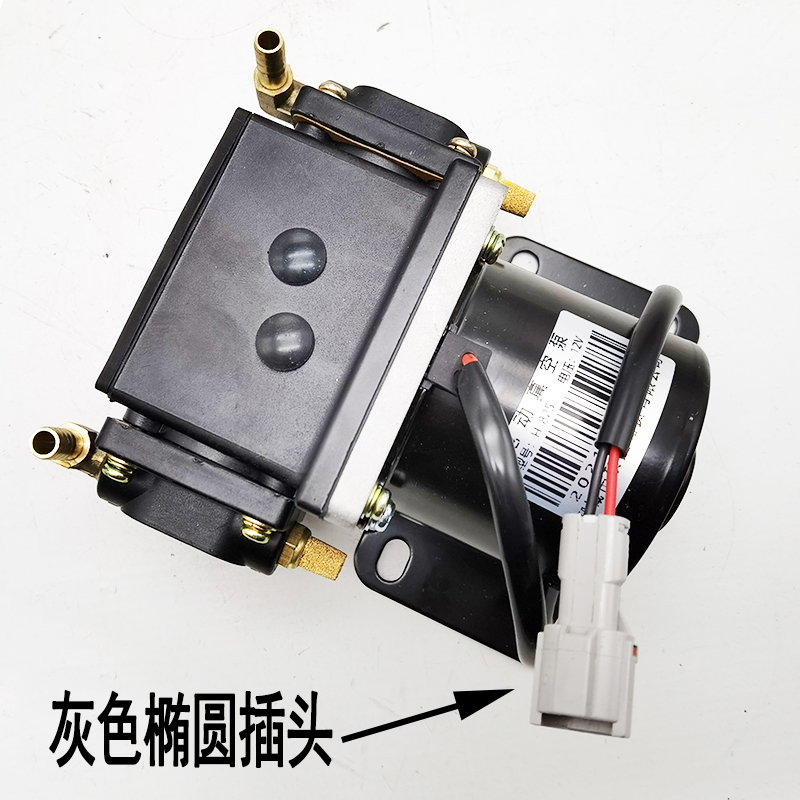 Leiding Jun Daojue Yujie Jinpeng Bide Wenli Chi four-wheel electric electronic brake pump vacuum brake booster pump