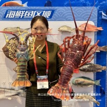 大龙虾模型澳龙青龙古巴龙波龙红龙多款式海鲜道具展台摆设品其他