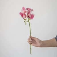 4 головы глубоко порошок