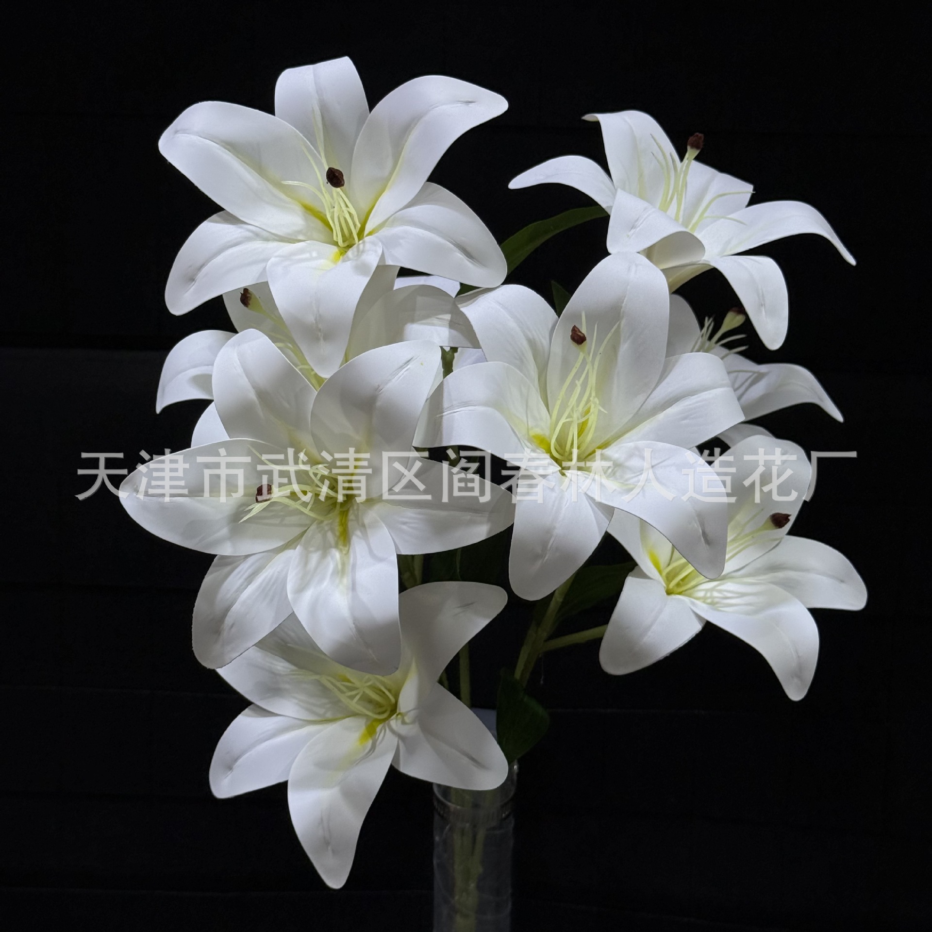 순수한 흰색
