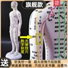 Colorful hard model [54cm female model] arms can turn to digital scale