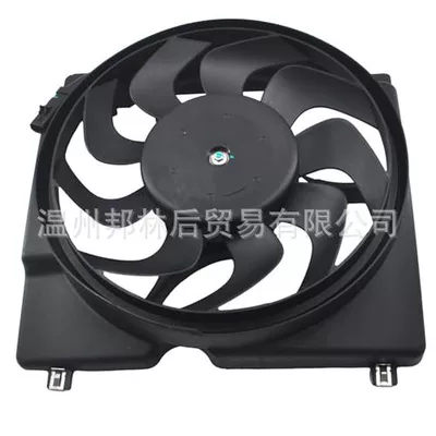 610950, Fan
