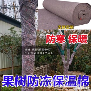 ������������ޱ����o���ޚ��ޱ�������ˮ���䲻��������ë�ֱ��o