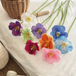 ins�L�_��������Ī��ɫ���滨���������[����Y�廨�b�ˇ�ٻ�