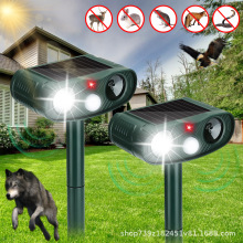 2025�羳���N̫��܄�����s�������������B���؈��򌹷����