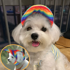 Amazon cross-border pet baseball cap dog accessories accessories pet beret teddy duck cap