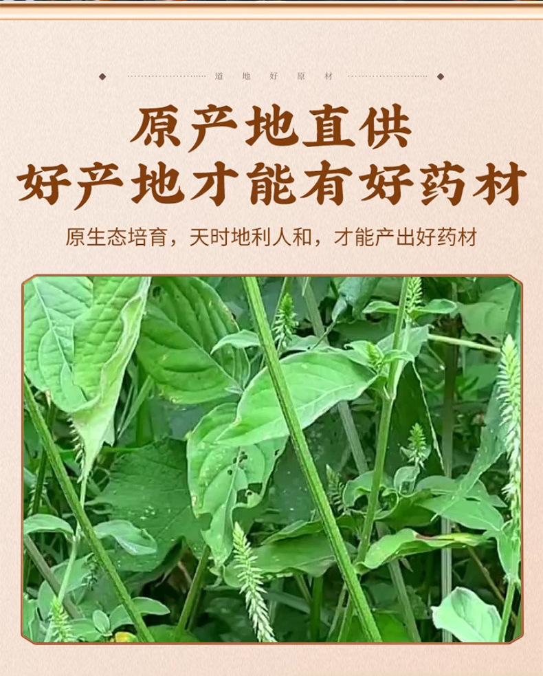 Tu Niu Xi Dried Achyranthes Root Bulk Herbal Tea Ingredient 500g key features