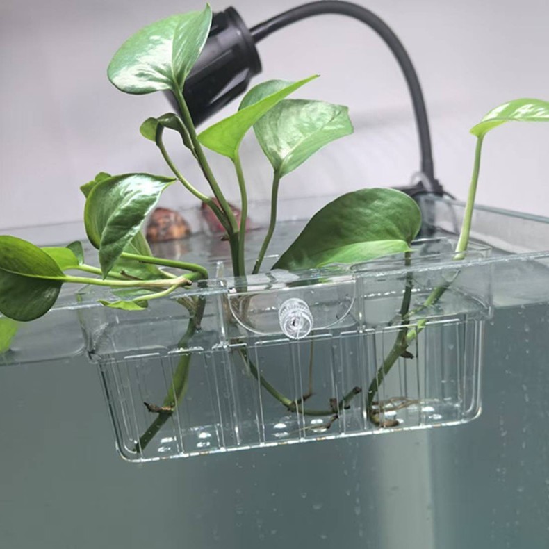 金魚鉢壁掛け水培箱水草栽培カップ壁掛け水植物棚造景吊り式水培定植かご|undefined