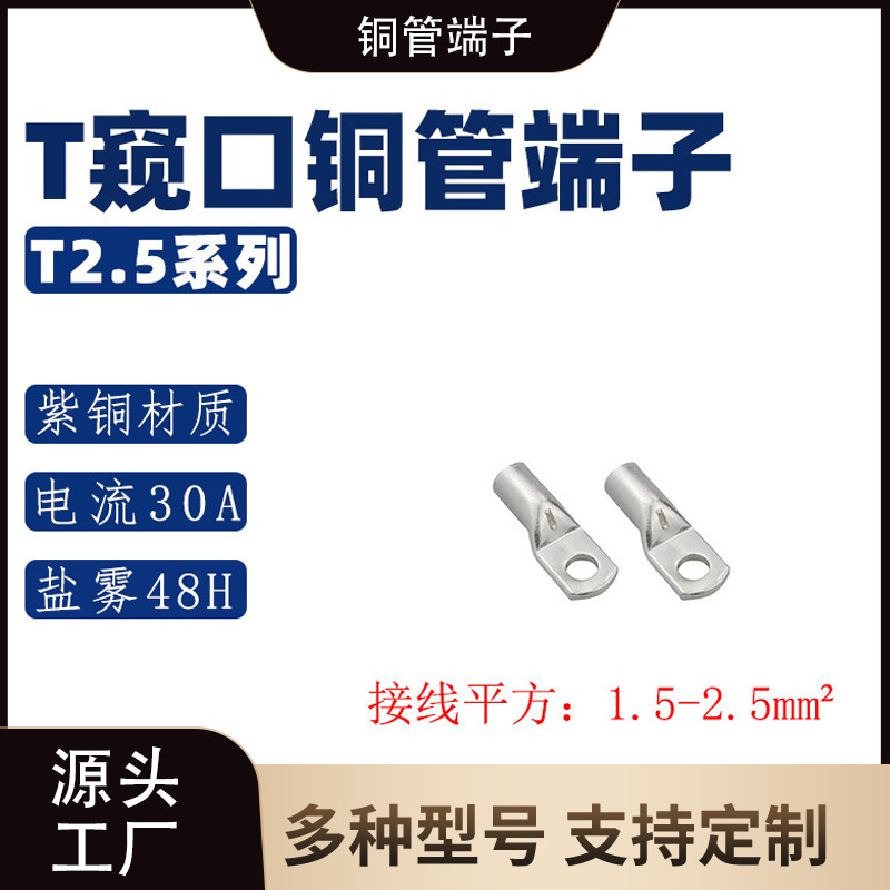 T2.5系列 铜管端子/紫铜接线端子 冷压铜鼻子接线端子