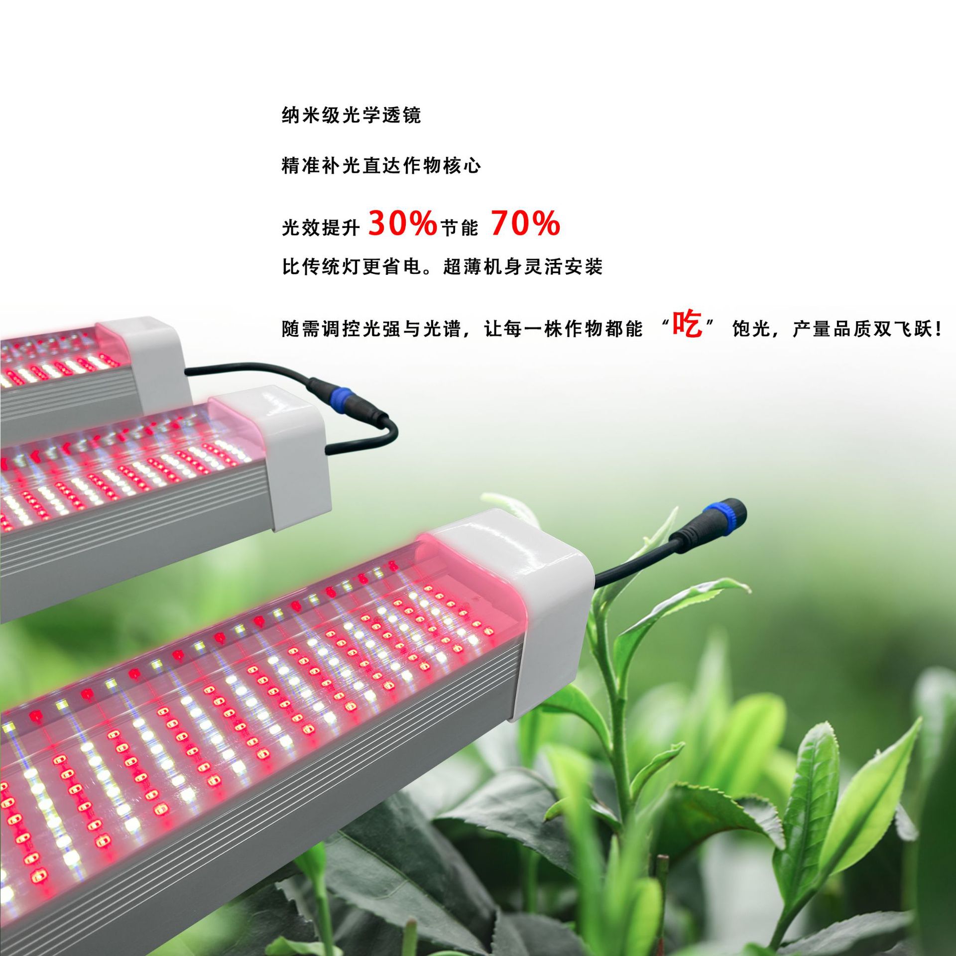 Under the canopy125W���µƵ��ϲ������������Ʒ������ũ����ֲ