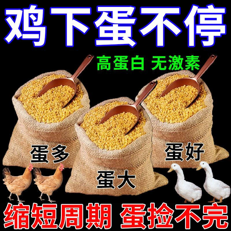 [Сокровище откладки яиц] Курица, утка и гусь универсальный пропитывает яйца, чтобы увеличить яичный корм