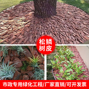 松树皮发酵腐熟松麟打磨皮松麒树皮有机覆盖基质铺面树工厂代发-阿里巴巴
