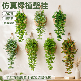 ���洹���Gֲ5���z��ڒ���7������G�}�ع��~�҃�ֲ�ȫ�����