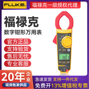 FLUKE������F319�����Q�α� F319�Q���������ֱ���Q�α�600V