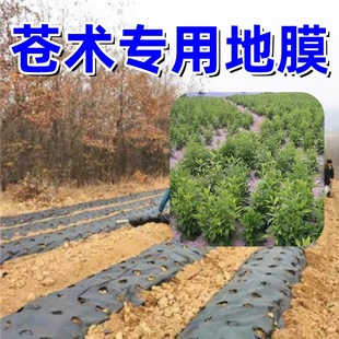 Zhongcao Nongbo has holes to punch Dapeng cover vegetables mulching shed black free planting medicinal materials Morchella atractylodes silver prevention