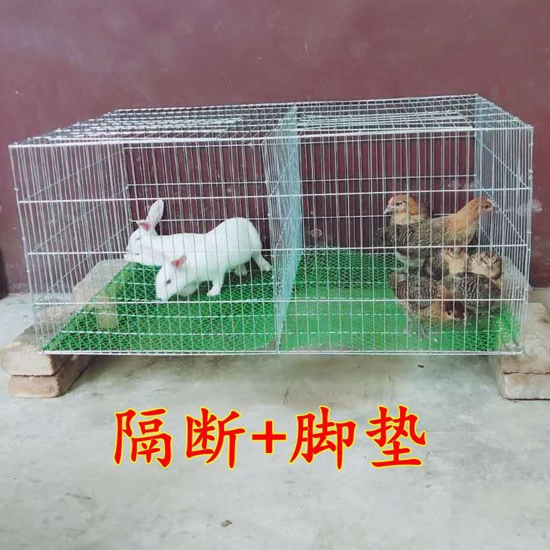 52d1497c-e3d1-42ba-a720-1c835c742d56.jpe