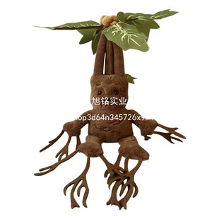 �羳��Ʒ��������Mandrake ��������ë�q��߹��ЬF؛����