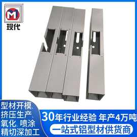 佛山铝制产品挤压厂提供6061 6063铝合金开模定制工业铝材异型材