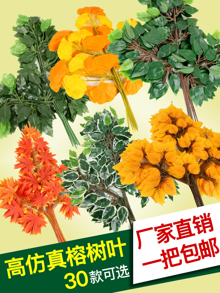 仿真榕树叶过胶塑料榕树枝绿色植物银杏红枫叶子假树枝装饰造景
