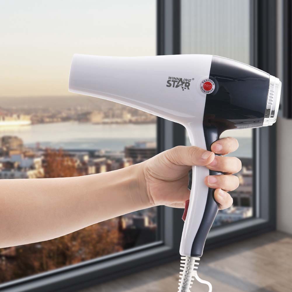 Winning Star Cross-border 220V estándar europeo estándar británico de secado rápido de alta potencia de dos velocidades con secador de pelo de energía eólica fría y caliente ligero