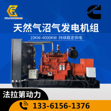 �Ӛ�l늙C�M  ����a����˹ �����250ǧ�� �l늙C�M