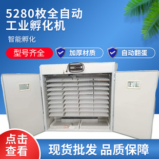 5280ȫ�Ԅӷ����C�u���Z���ӷ����O��V�|���^�κ��{�^�Z�������C