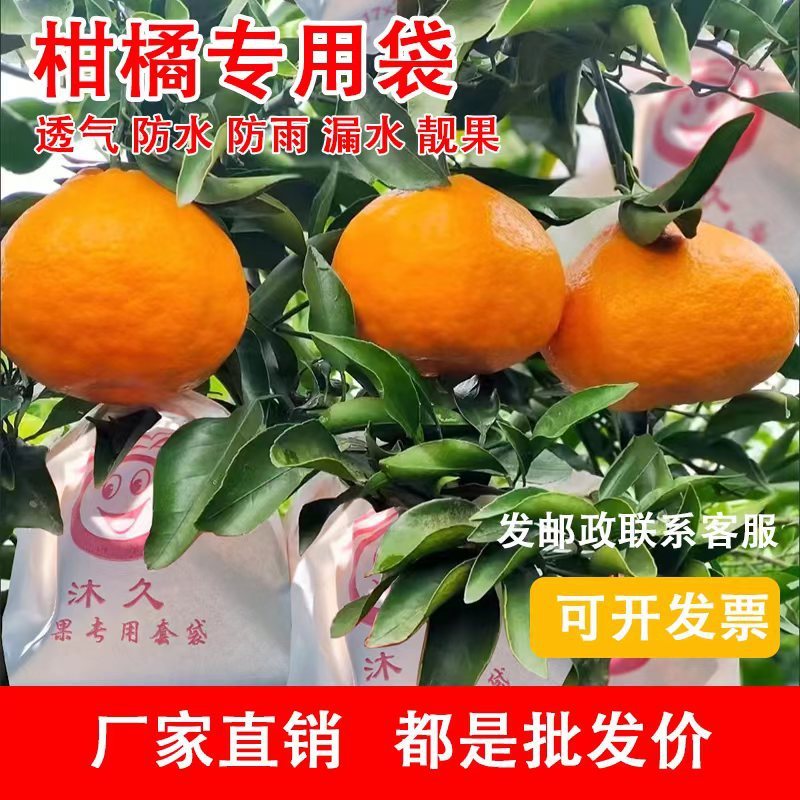 柑橘袋みかん果物袋醜いみかんオレンジ熊手虫よけ防虫鳥ザクロ沃柑臍オレンジ果物紙袋|undefined
