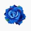 Color blue