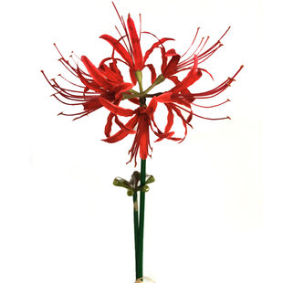 (Wholesale), realistic wedding flowers, decorative flowers, Hanfu